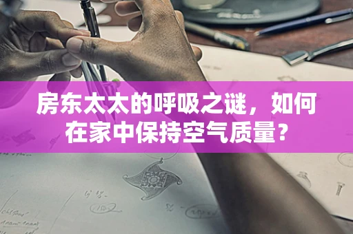 房东太太的呼吸之谜，如何在家中保持空气质量？