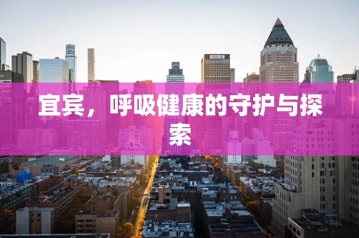 宜宾，呼吸健康的守护与探索