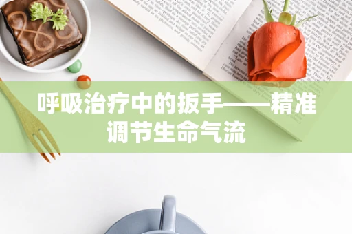 呼吸治疗中的扳手——精准调节生命气流