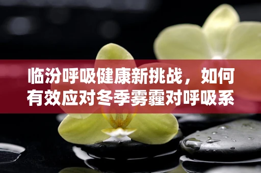 临汾呼吸健康新挑战，如何有效应对冬季雾霾对呼吸系统的影响？