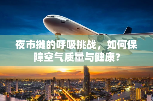 夜市摊的呼吸挑战，如何保障空气质量与健康？