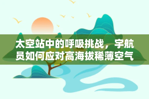 太空站中的呼吸挑战，宇航员如何应对高海拔稀薄空气？
