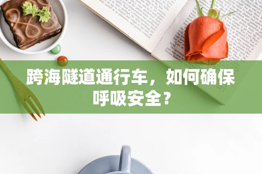 跨海隧道通行车，如何确保呼吸安全？