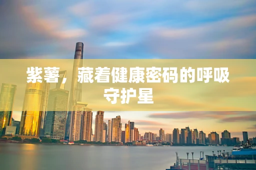 紫薯，藏着健康密码的呼吸守护星