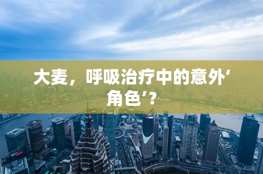 大麦，呼吸治疗中的意外‘角色’？