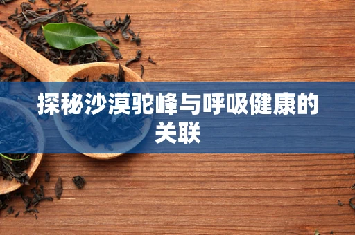 探秘沙漠驼峰与呼吸健康的关联