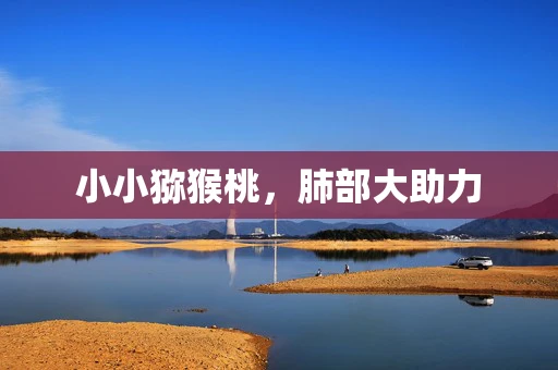 小小猕猴桃，肺部大助力