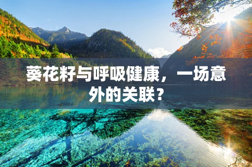 葵花籽与呼吸健康，一场意外的关联？