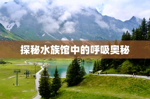 探秘水族馆中的呼吸奥秘