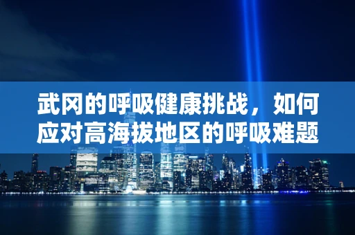 武冈的呼吸健康挑战，如何应对高海拔地区的呼吸难题？