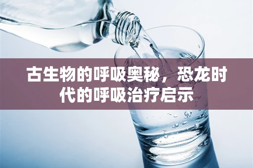 古生物的呼吸奥秘，恐龙时代的呼吸治疗启示