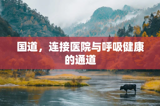 国道，连接医院与呼吸健康的通道