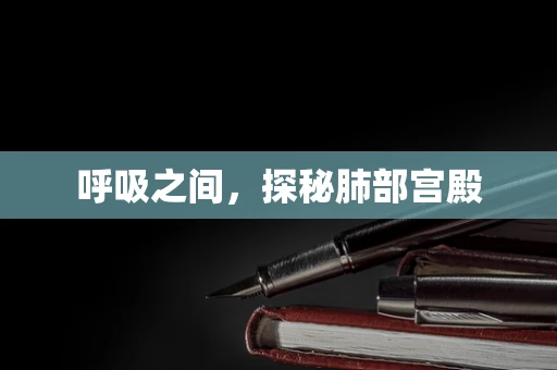 呼吸之间，探秘肺部宫殿