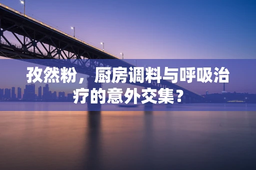 孜然粉，厨房调料与呼吸治疗的意外交集？