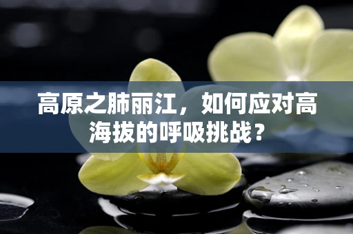 高原之肺丽江，如何应对高海拔的呼吸挑战？