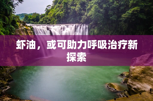 虾油，或可助力呼吸治疗新探索