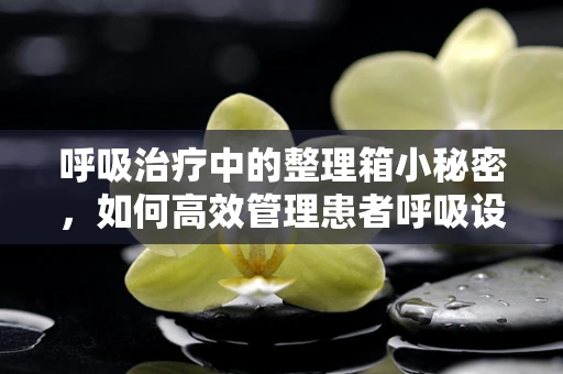 呼吸治疗中的整理箱小秘密，如何高效管理患者呼吸设备？
