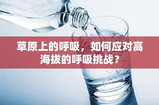草原上的呼吸，如何应对高海拔的呼吸挑战？