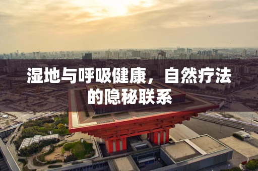 湿地与呼吸健康，自然疗法的隐秘联系