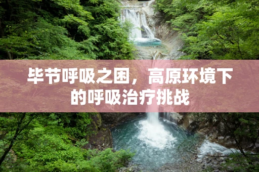毕节呼吸之困，高原环境下的呼吸治疗挑战
