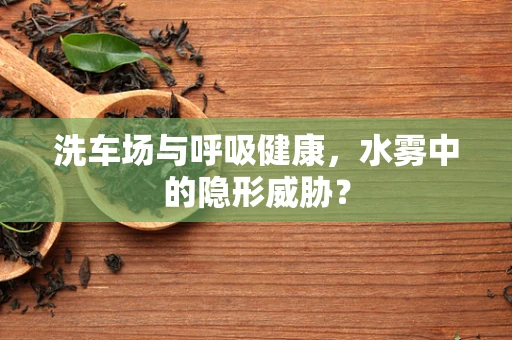 洗车场与呼吸健康，水雾中的隐形威胁？