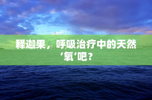 释迦果，呼吸治疗中的天然‘氧’吧？