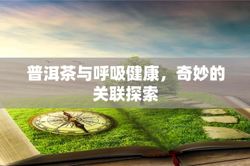 普洱茶与呼吸健康，奇妙的关联探索