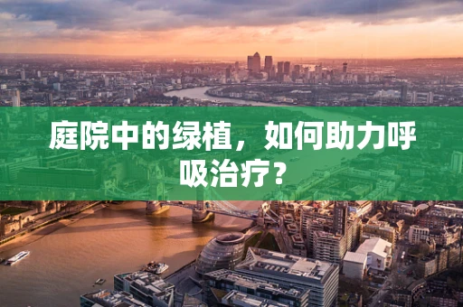 庭院中的绿植，如何助力呼吸治疗？