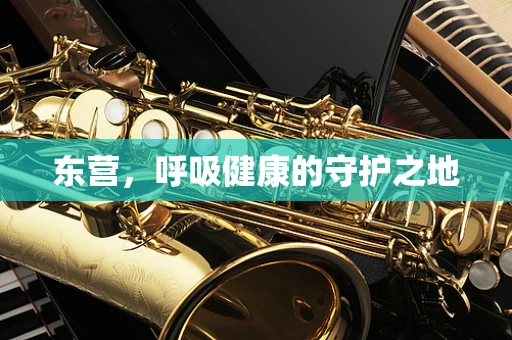 东营，呼吸健康的守护之地
