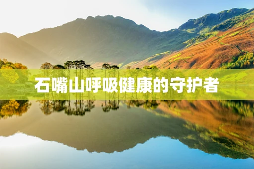 石嘴山呼吸健康的守护者