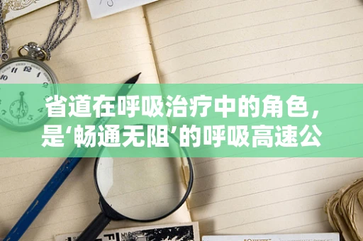 省道在呼吸治疗中的角色，是‘畅通无阻’的呼吸高速公路吗？