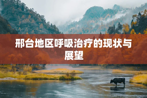 邢台地区呼吸治疗的现状与展望