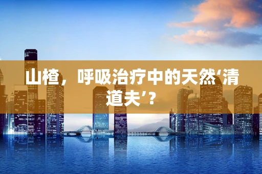 山楂，呼吸治疗中的天然‘清道夫’？