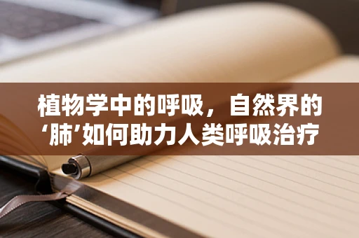 植物学中的呼吸，自然界的‘肺’如何助力人类呼吸治疗？
