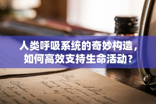 人类呼吸系统的奇妙构造，如何高效支持生命活动？