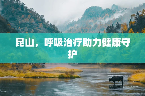 昆山，呼吸治疗助力健康守护