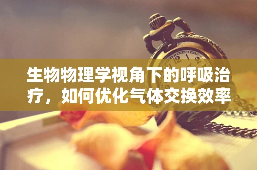生物物理学视角下的呼吸治疗，如何优化气体交换效率？