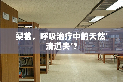 桑葚，呼吸治疗中的天然‘清道夫’？