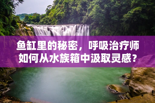 鱼缸里的秘密，呼吸治疗师如何从水族箱中汲取灵感？