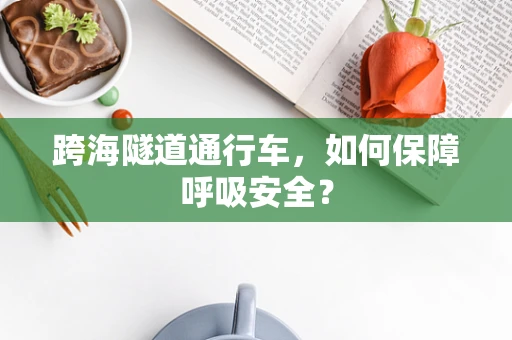 跨海隧道通行车，如何保障呼吸安全？