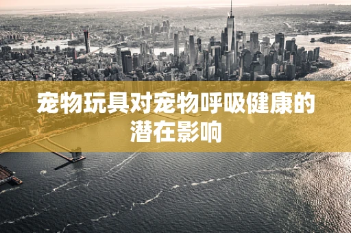 宠物玩具对宠物呼吸健康的潜在影响