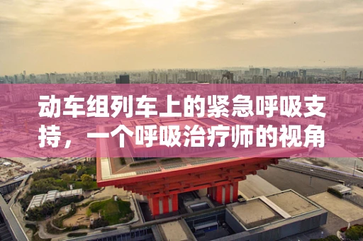 动车组列车上的紧急呼吸支持，一个呼吸治疗师的视角