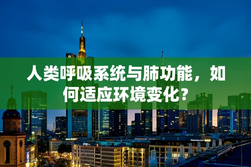 人类呼吸系统与肺功能，如何适应环境变化？