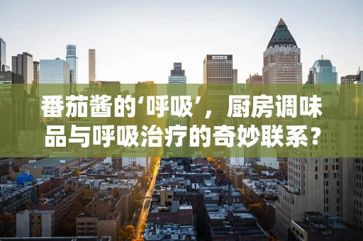 番茄酱的‘呼吸’，厨房调味品与呼吸治疗的奇妙联系？