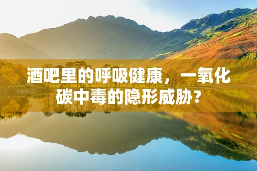 酒吧里的呼吸健康，一氧化碳中毒的隐形威胁？