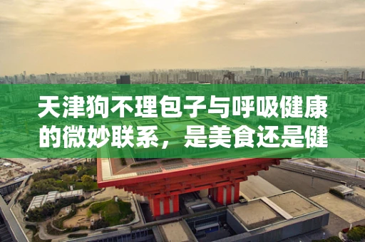天津狗不理包子与呼吸健康的微妙联系，是美食还是健康隐患？