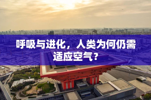 呼吸与进化，人类为何仍需适应空气？