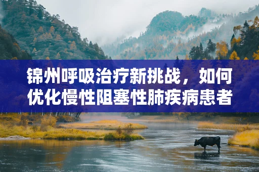 锦州呼吸治疗新挑战，如何优化慢性阻塞性肺疾病患者的家庭氧疗方案？