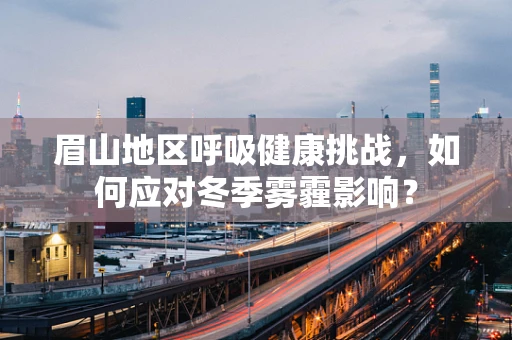 眉山地区呼吸健康挑战，如何应对冬季雾霾影响？