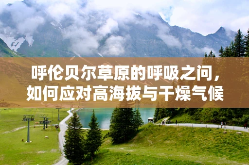 呼伦贝尔草原的呼吸之问，如何应对高海拔与干燥气候下的呼吸健康挑战？